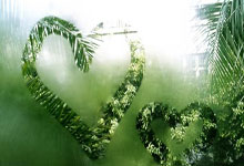 一、生肖兔与龟兔竞赛的智慧寓言