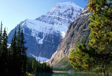 勤俭持家指是什么生肖，揭晓重点解析